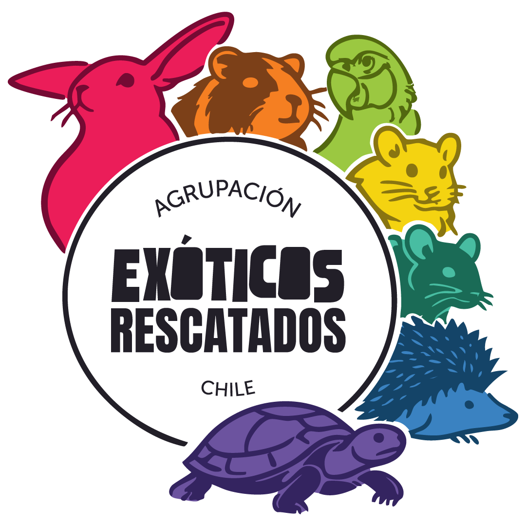 Exoticos rescatados